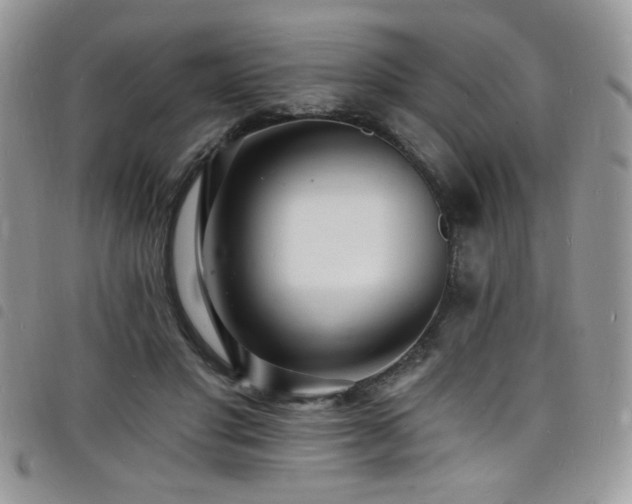 X0000098200501200804241256