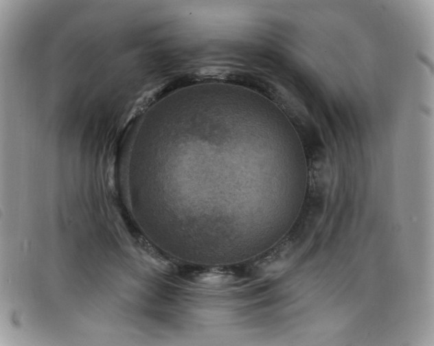X0000098200504200804241256
