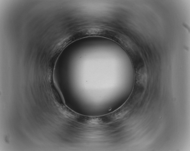 X0000098200505200804241256