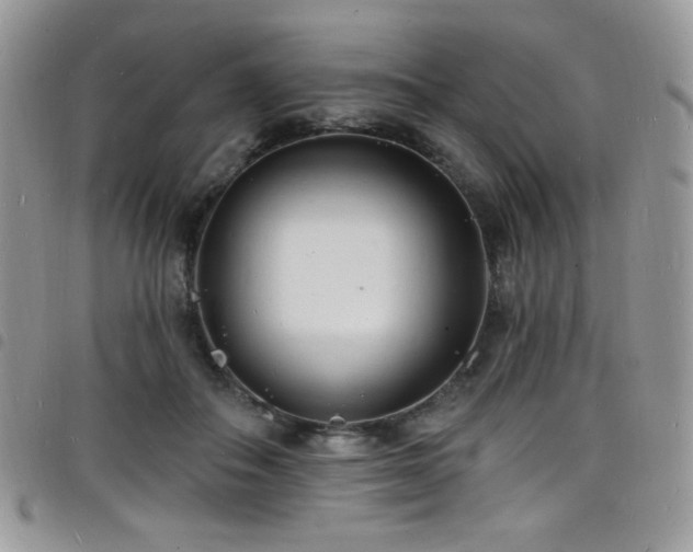 X0000098200506200804241256