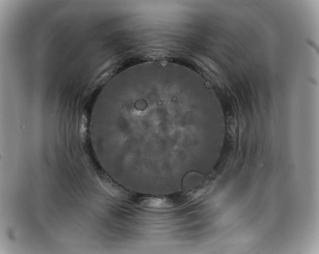 X0000098200507200804241256