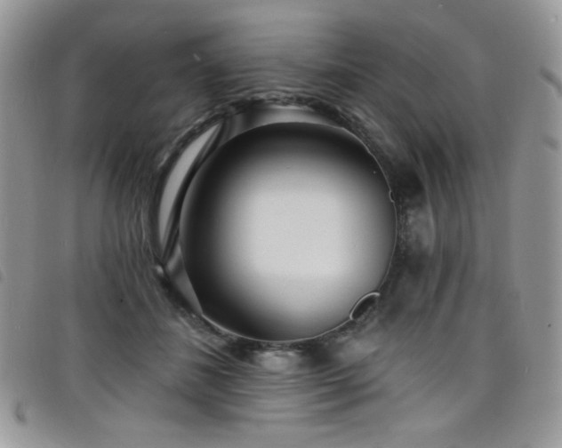 X0000098200508200804241256