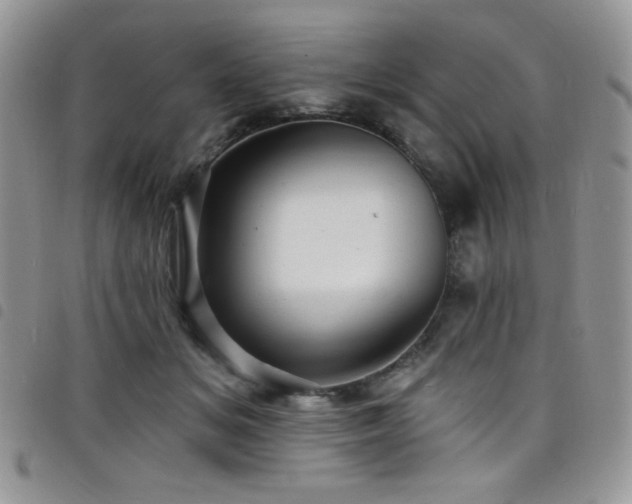 X0000098200509200804241256