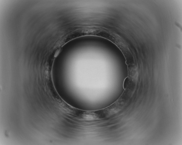 X0000098200510200804241256