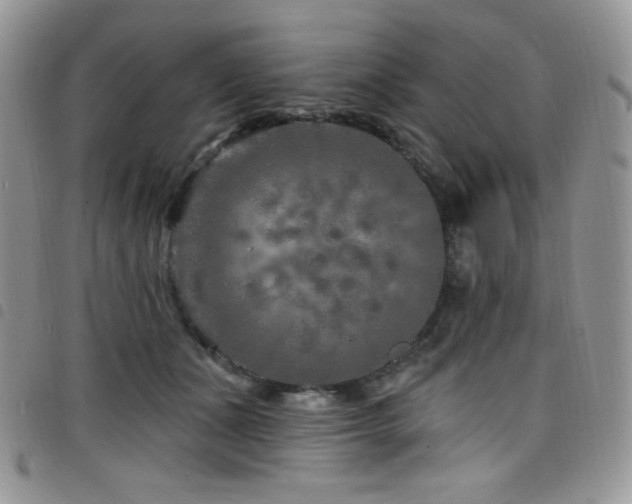 X0000098200511200804241256