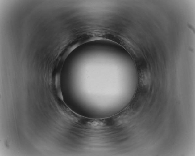 X0000098200512200804241256