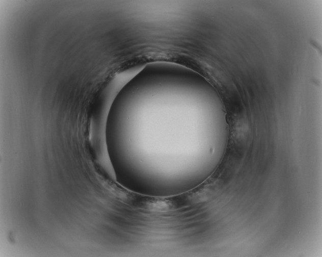 X0000098200513200804241256