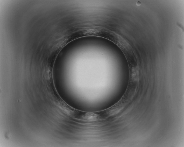 X0000098200514200804241256