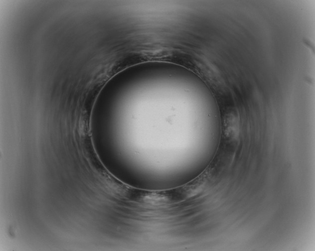 X0000098200515200804241256
