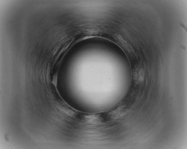 X0000098200516200804241256