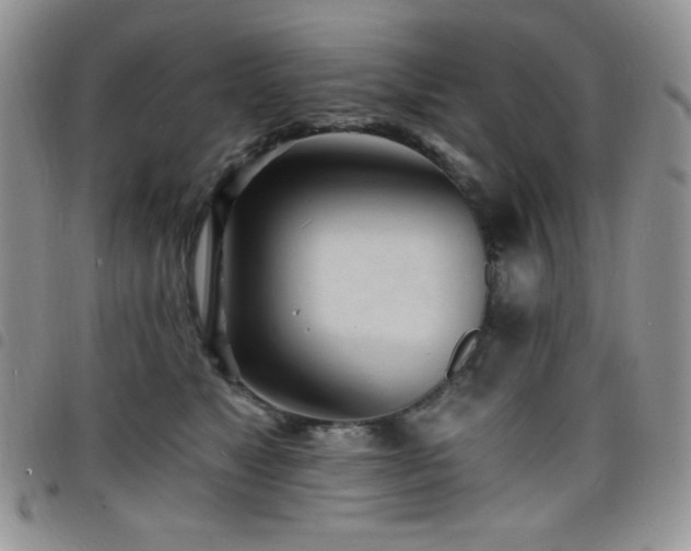 X0000098200517200804241256