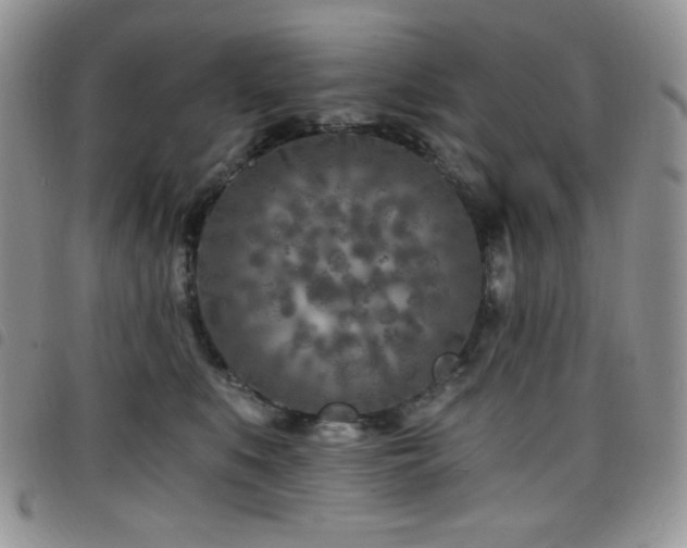 X0000098200519200804241256