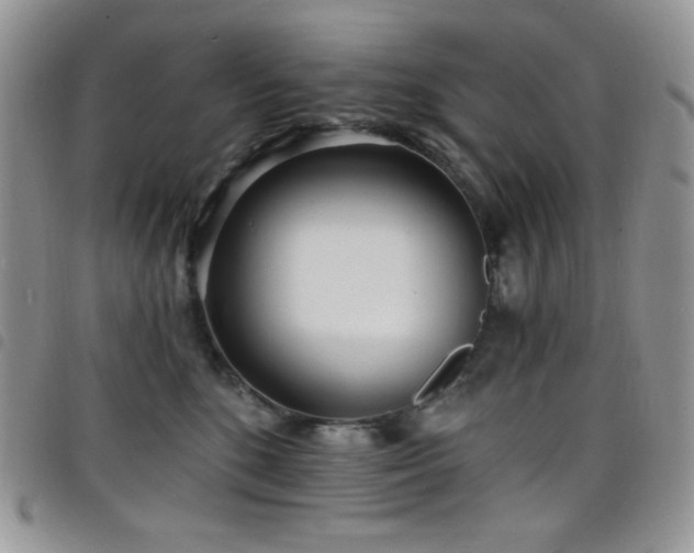 X0000098200520200804241256