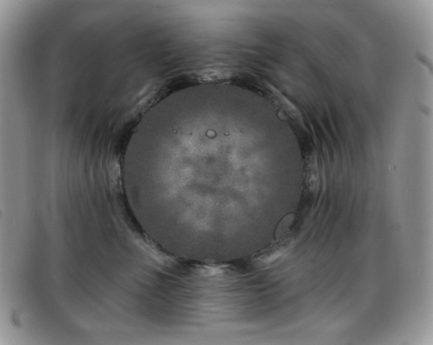 X0000098200523200804241256