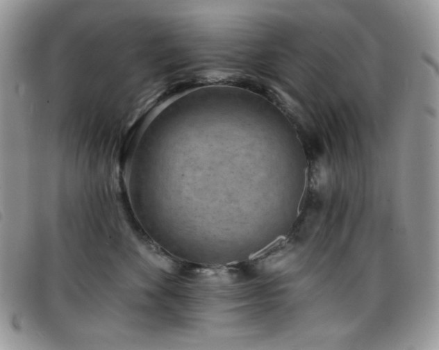 X0000098200524200804241255