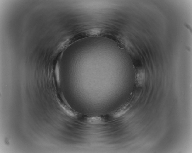 X0000098200525200804241255