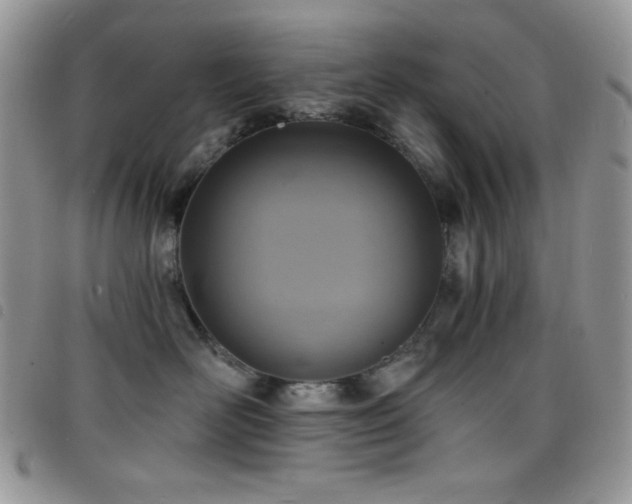 X0000098200526200804241255