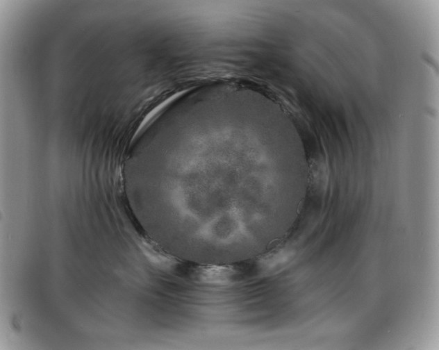 X0000098200527200804241255