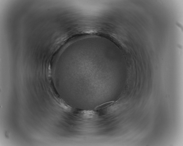 X0000098200528200804241255