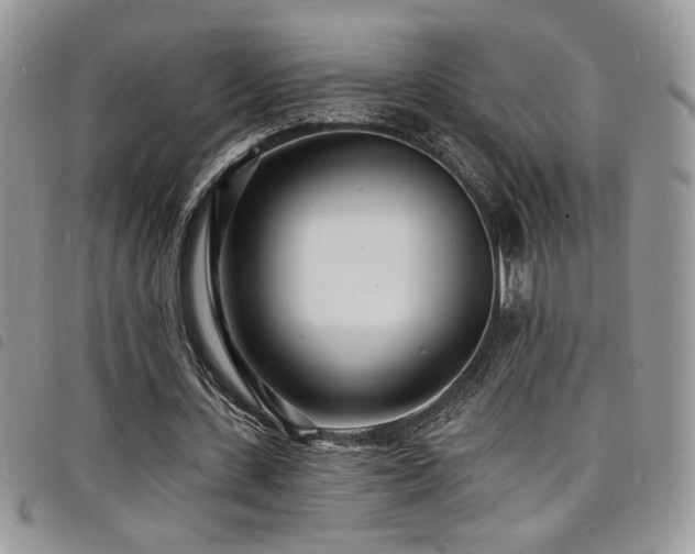 X0000098200531200804241255