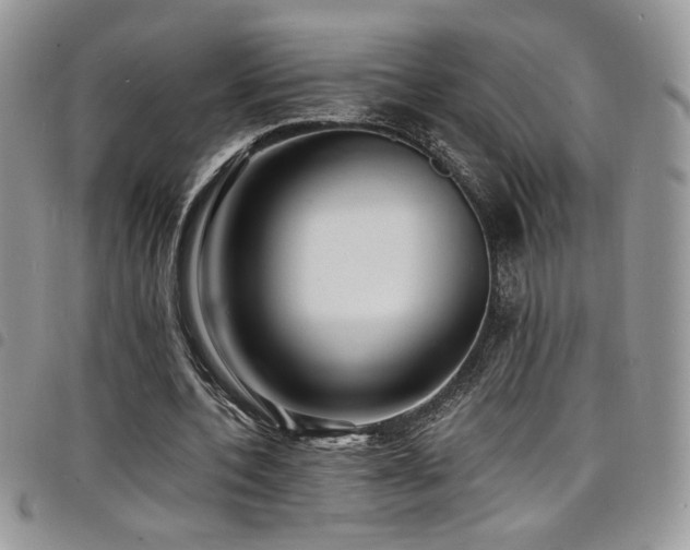 X0000098200532200804241255