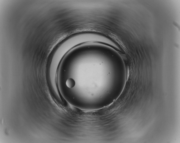 X0000098200534200804241255