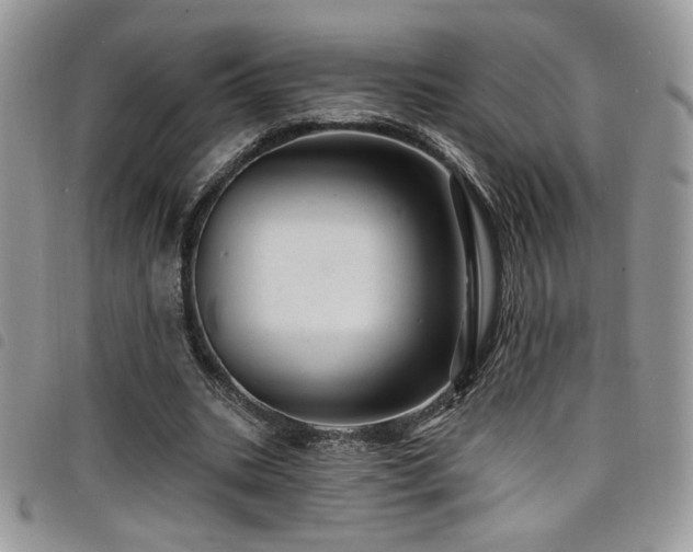X0000098200535200804241255