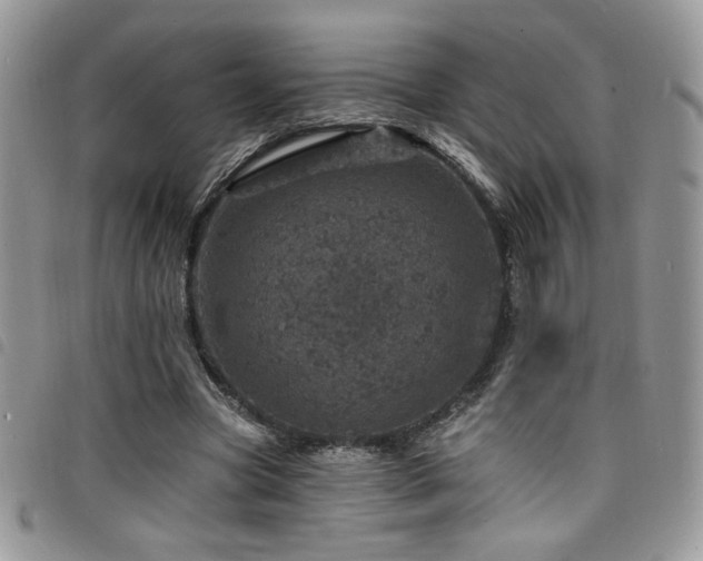 X0000098200537200804241255