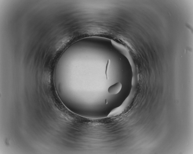 X0000098200539200804241255