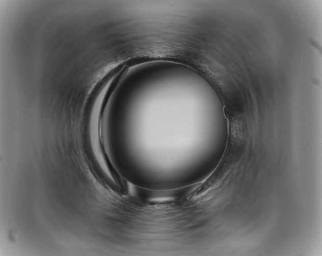 X0000098200540200804241255