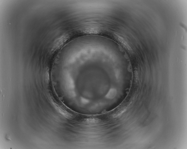 X0000098200541200804241255