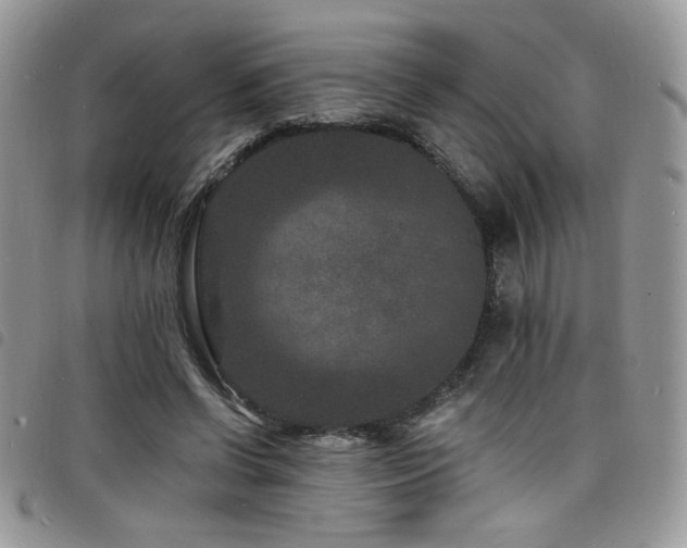 X0000098200542200804241255