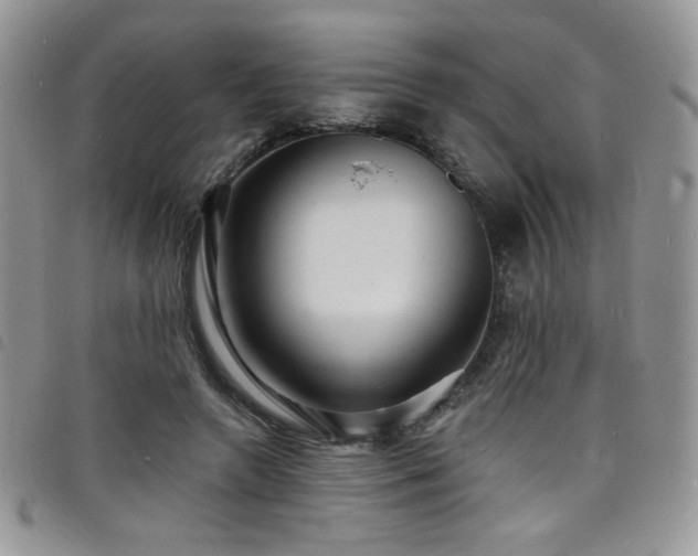 X0000098200546200804241255