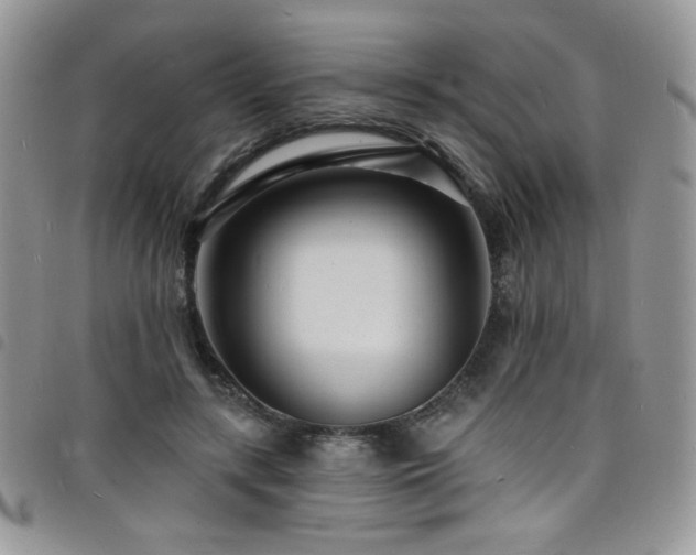 X0000098200547200804241255