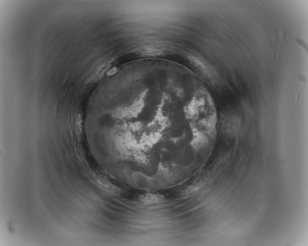 X0000098200549200804241255