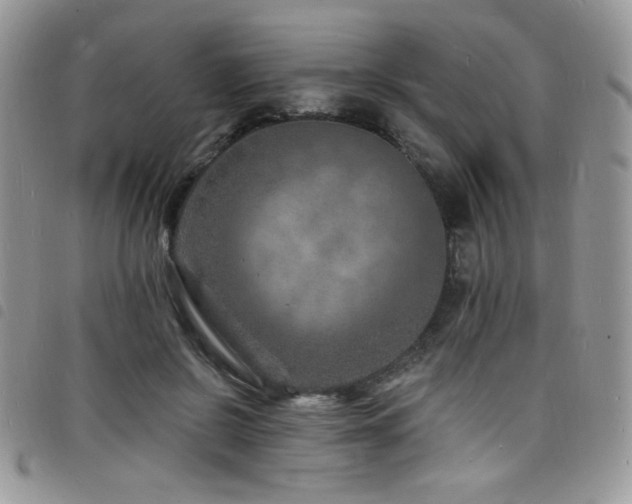 X0000098200550200804241255