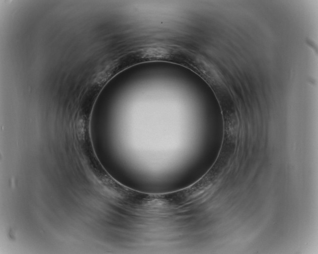 X0000098200551200804241255
