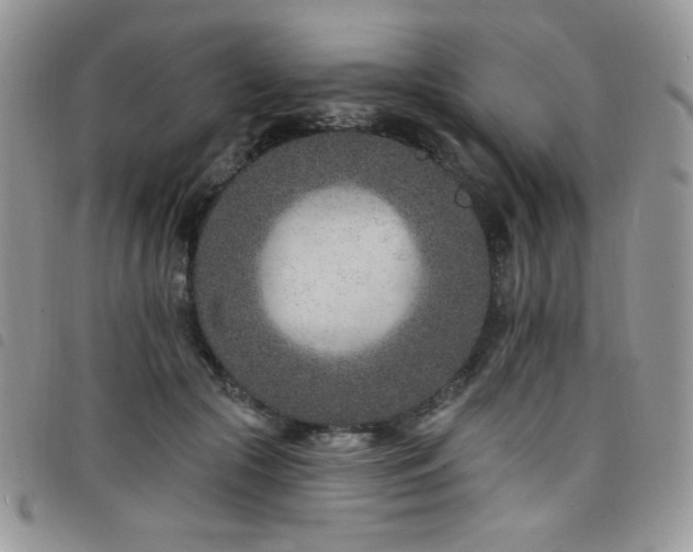 X0000098200553200804241255