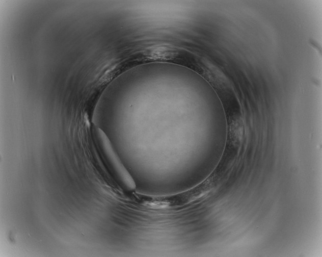 X0000098200554200804241255
