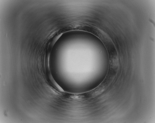 X0000098200558200804241255