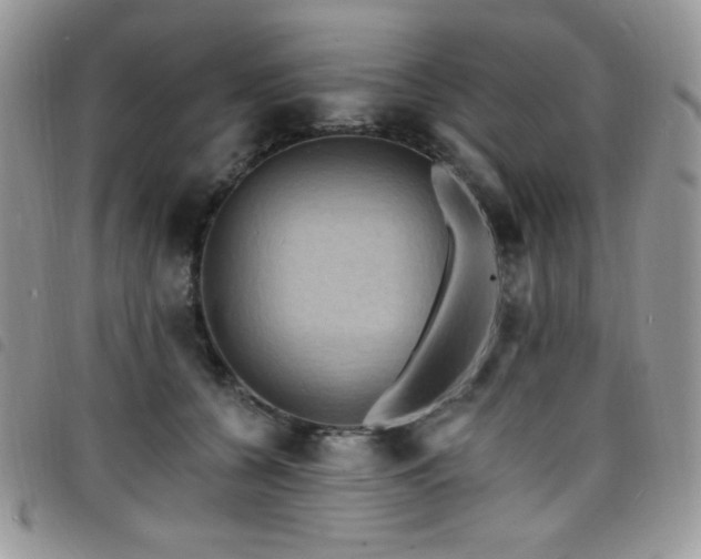 X0000098200560200804241255