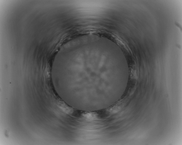 X0000098200561200804241255