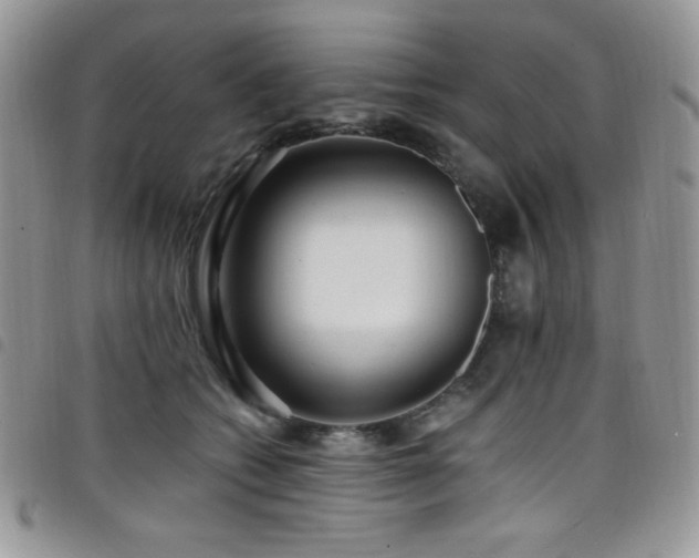 X0000098200562200804241255