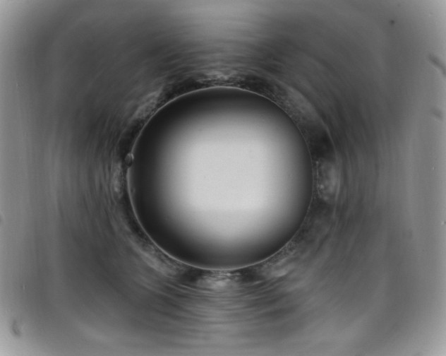 X0000098200563200804241255