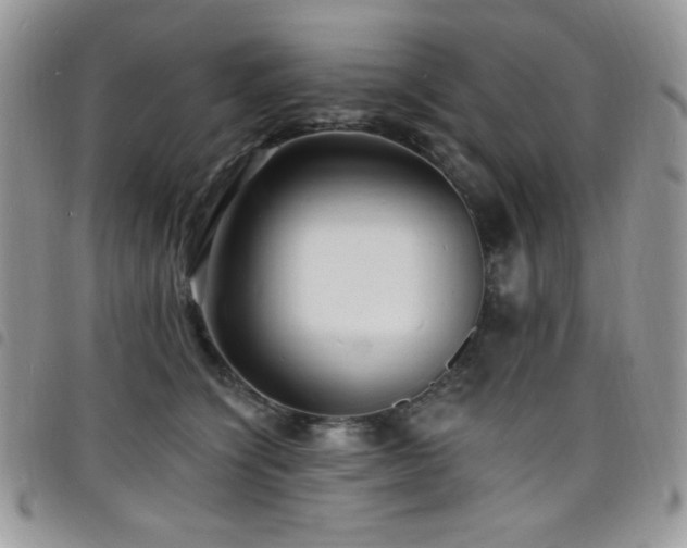 X0000098200564200804241255