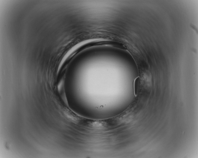 X0000098200566200804241255