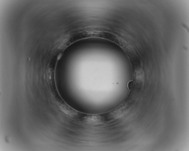 X0000098200567200804241255
