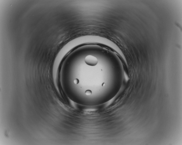 X0000098200568200804241255