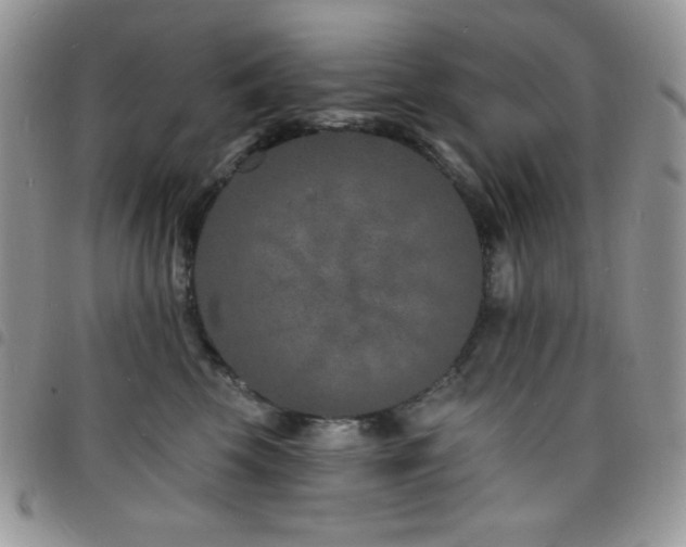 X0000098200569200804241255