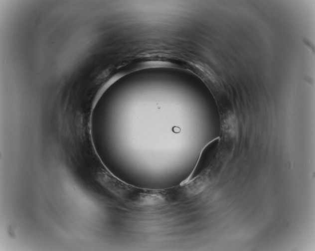 X0000098200572200804241255